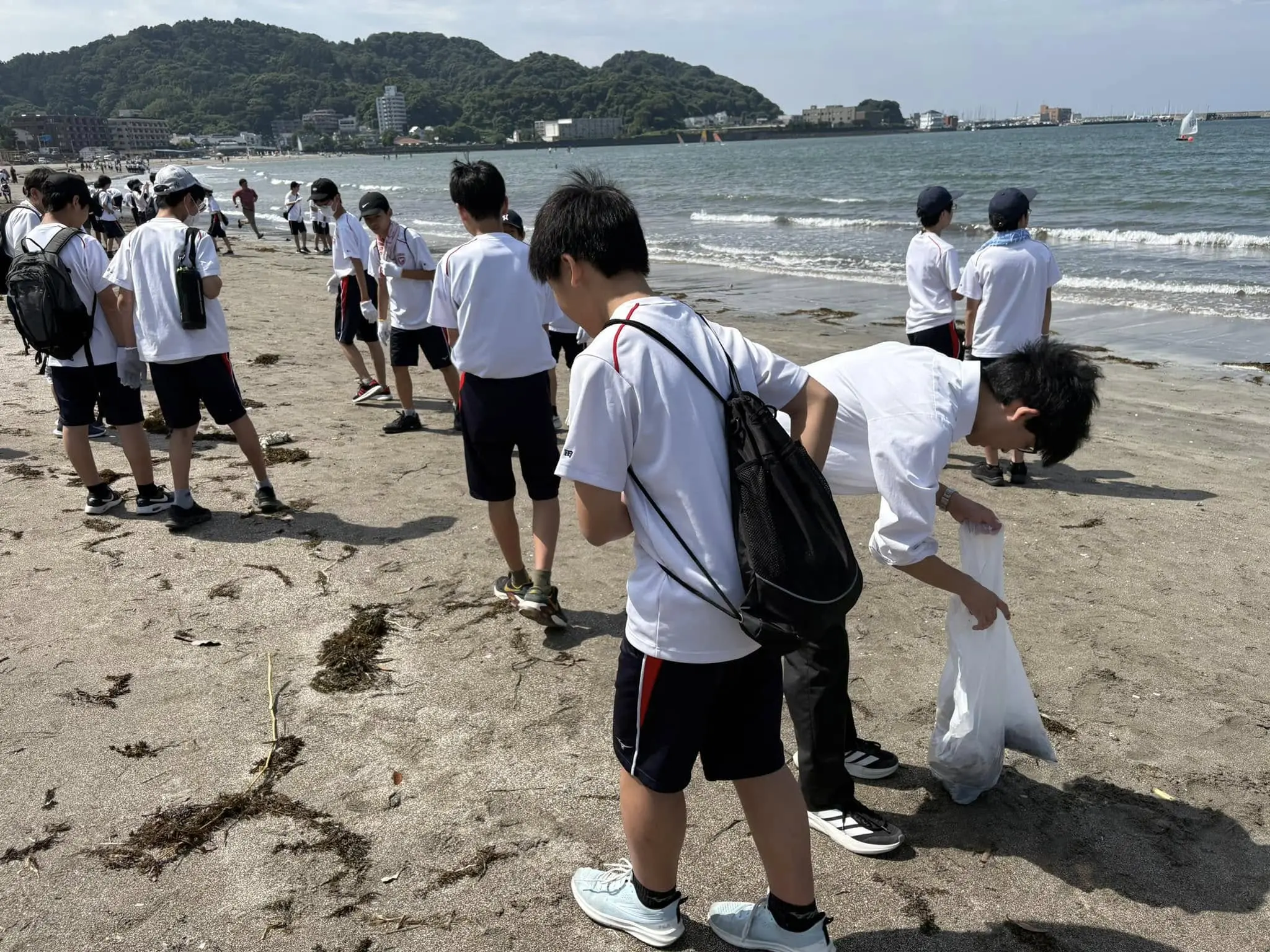中2ボランティア活動 | 逗子開成中学校・高等学校