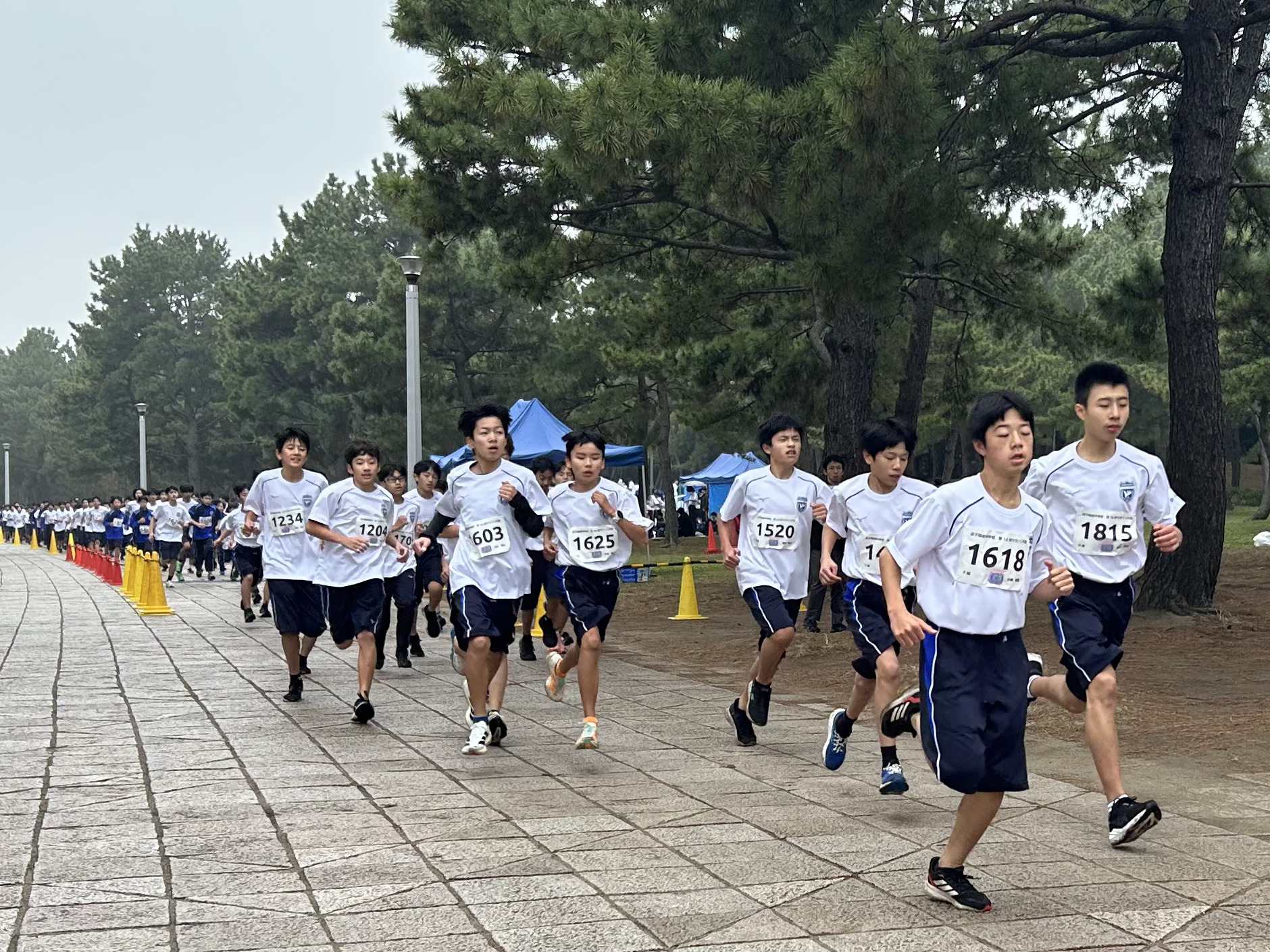 2025中学マラソン大会