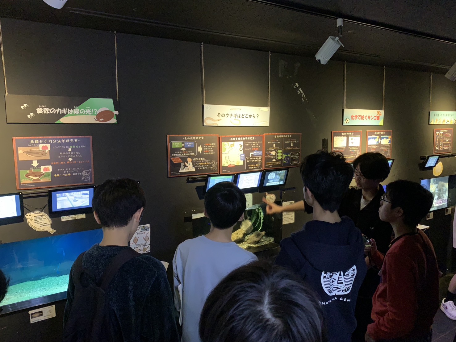 北里大学海洋生命科学部との交流